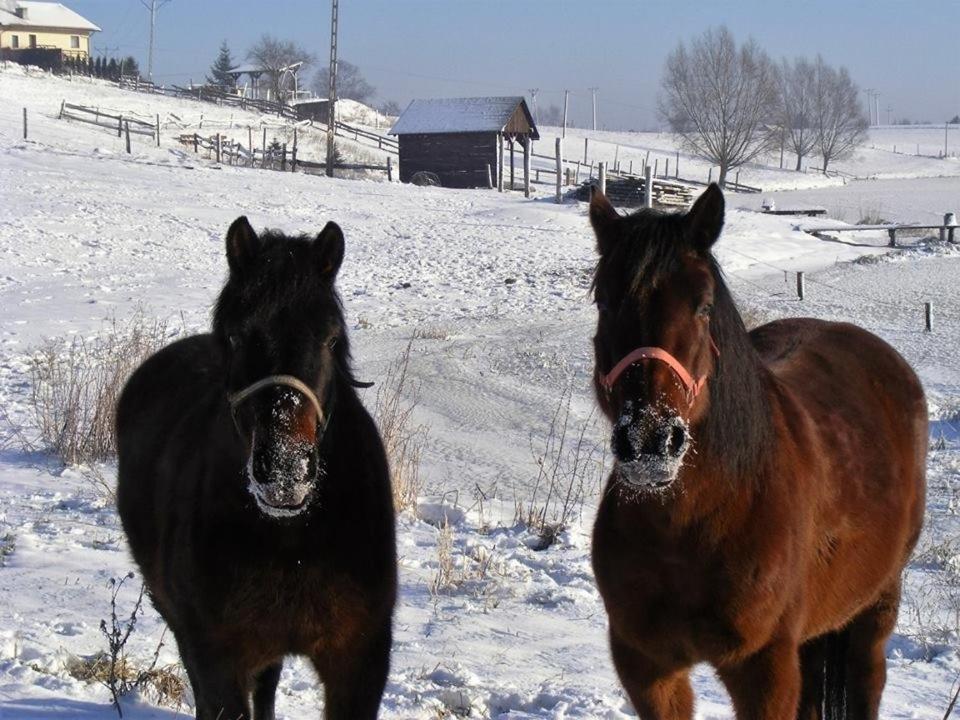 Agroturystyka Nad Jeziorem Piecki Βίλα Piecki  Εξωτερικό φωτογραφία